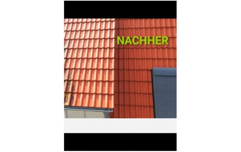 Galeriebild cropped_1739522153_0302081001739522027_789920.jpg