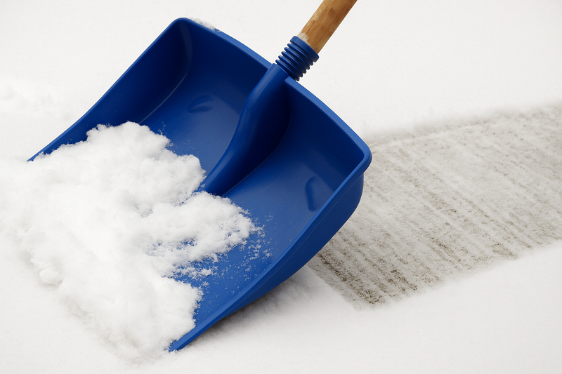 Galeriebild 0499672001760962928_790232.jpg