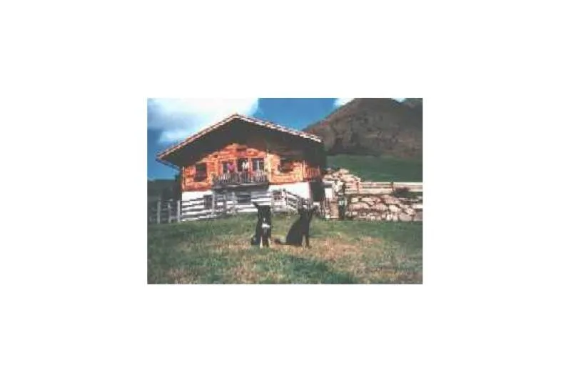 Galeriebild oberweckerlerhof-3-1-1527231132.jpg