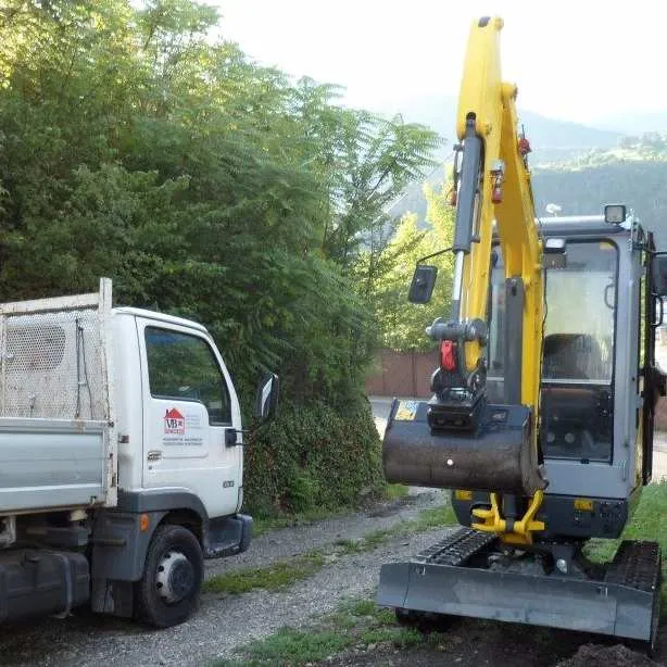 Viktorbau LKW und Bagger
