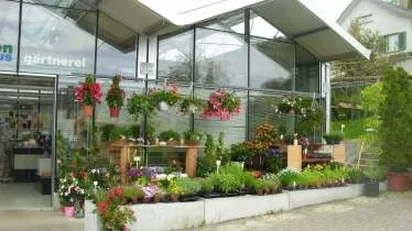 Unternehmen Blumen Zweerus