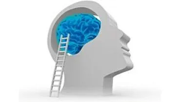 Unternehmen Praxis für Neurofeedback, Ernährungsberatung und psychologische Beratung<br>Susanna Stoll