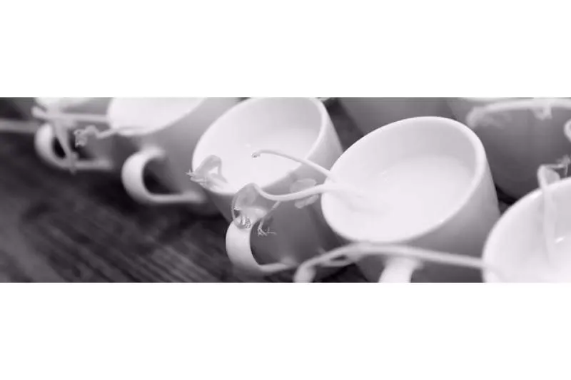 Galeriebild party-service-schmidt-1-1511525227.JPG