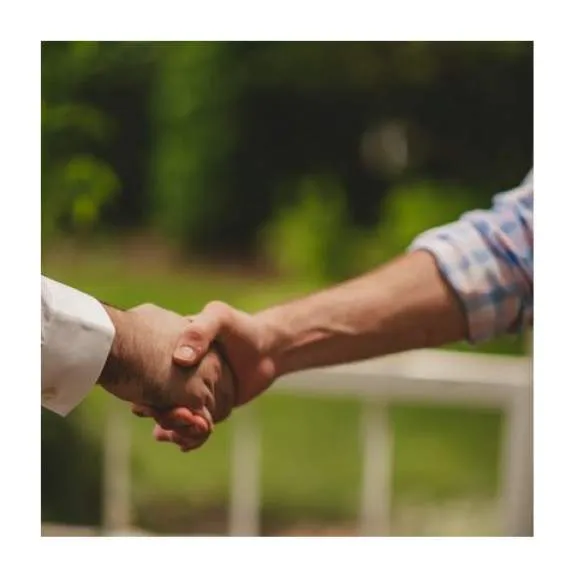 Galeriebild cropped_1756983339_0215685001756983323_790183.jpg