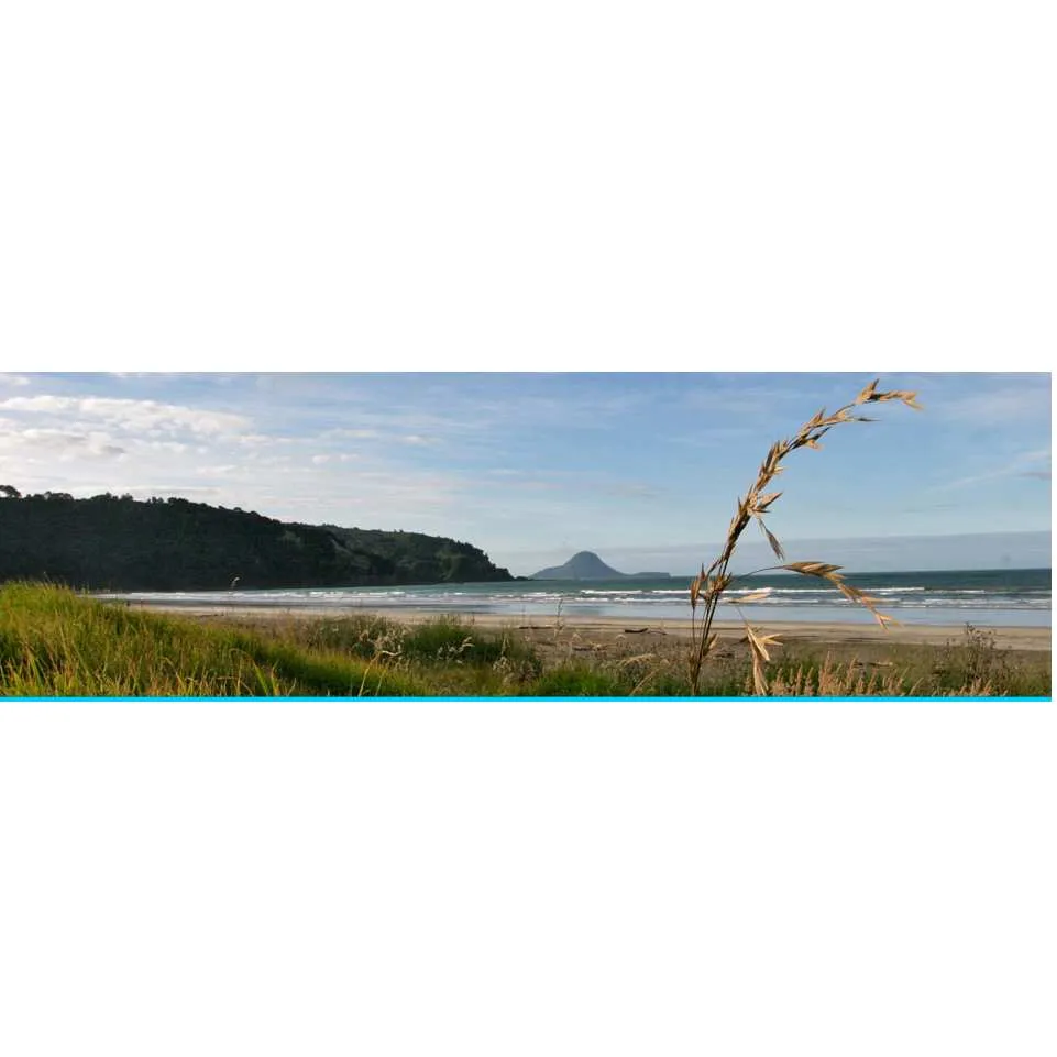 yoga for wellness Strand