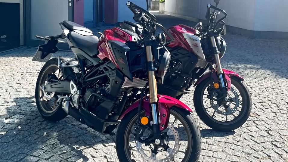 Galeriebild 0521532001756459306_790177.jpg