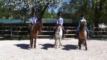 Unternehmen Islandpferde am Pfannenberg