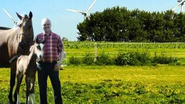 Unternehmen Holsteiner Pferdezucht