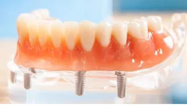 Pirina Knies - Pirina Dental