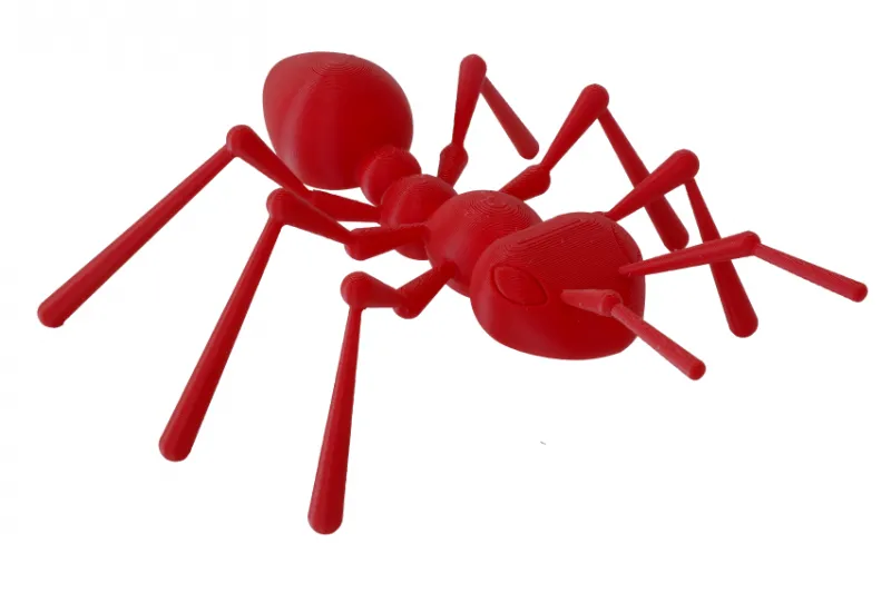 Galeriebild 3d-buerli-ameise.png