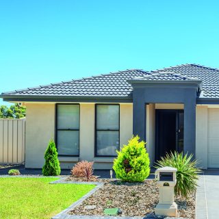 Galeriebild 2Q8DS7jLpN.jpg