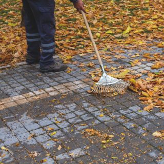 Galeriebild pz1Zs9rZ2b.jpg