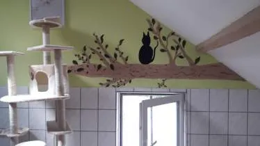 Unternehmen Kittys Penthouse - Danielle´s Wellness Place