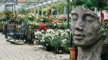 Unternehmen Gärtnerei Rosen-Hammer e.K.