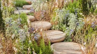 Unternehmen Toms Gartenparadies