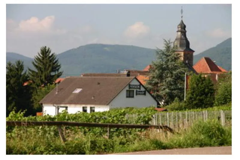 Galeriebild cropped_1739963578_0544056001739963574_789934.jpg