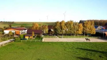 Unternehmen Reitstall Finger Elisenhof