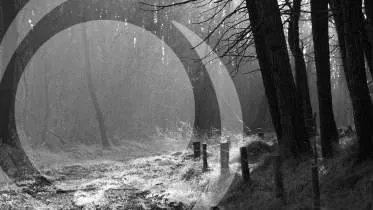 Unternehmen Andrea John Wachter Psychologische Beratung und Psychotherapie