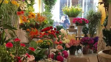 Unternehmen Inga's Rosenkavalier Inh. Ingrid Majercakova