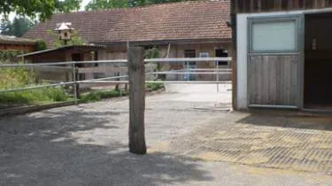 Unternehmen Gestüt Moos