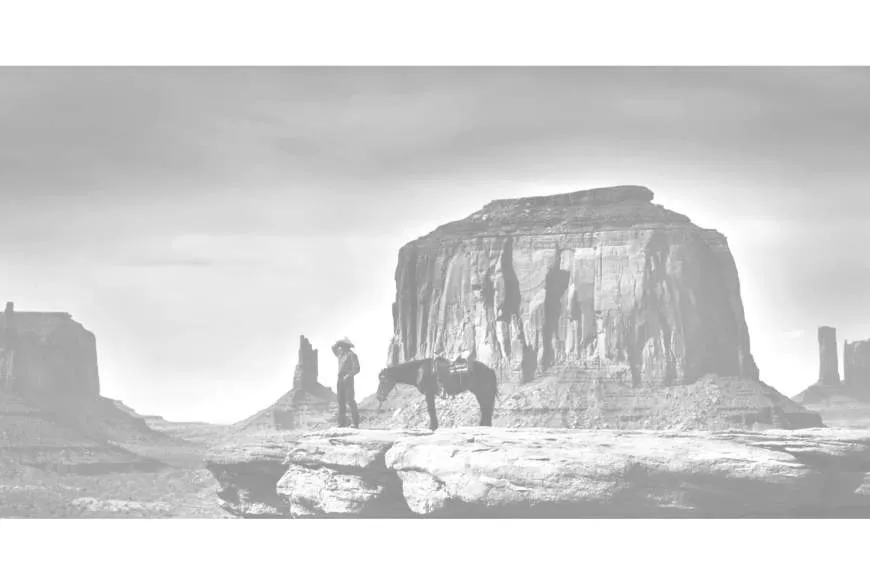 Galeriebild white-bull-american-steakhouse-2-1-1527237991.jpg