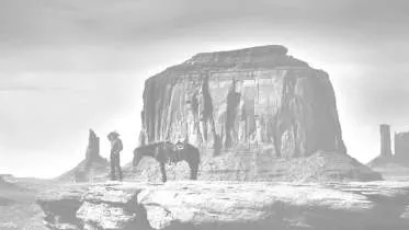 Unternehmen White Bull American Steakhouse