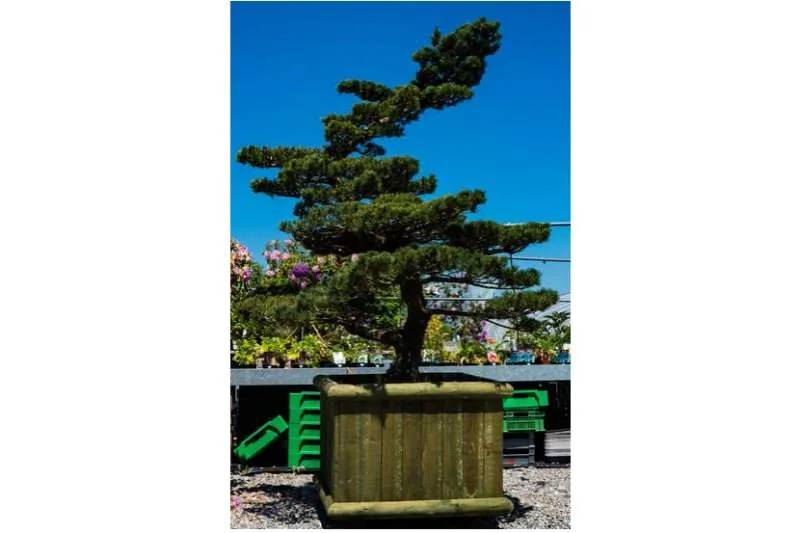 Galeriebild gaertnerei-neumueller-gmbh-1-1523008496.jpg