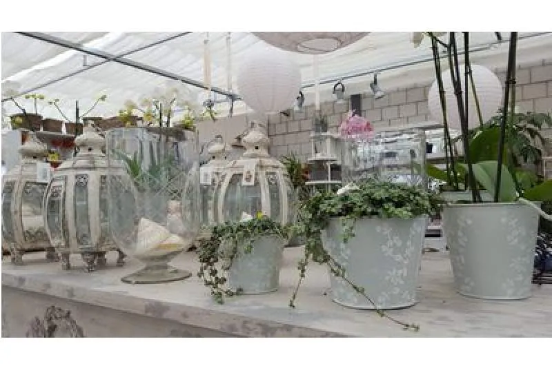 Galeriebild gaertnerei-neumueller-gmbh-1-1523008791.jpg