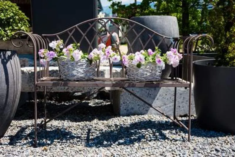 Galeriebild gaertnerei-neumueller-gmbh-1-1523008903.jpg