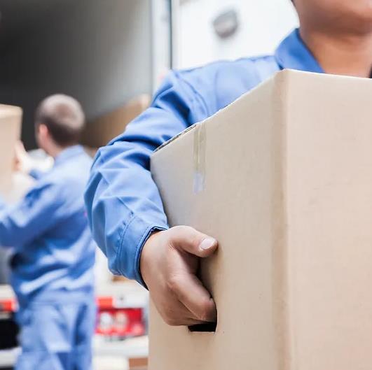 Galeriebild 0311564001740982916_789963.jpg