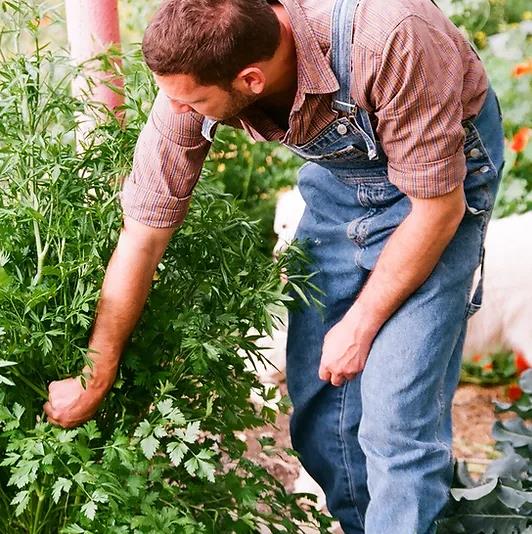 Galeriebild 0318826001740982916_789963.jpg