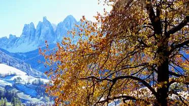 Unternehmen Der Galreidhof