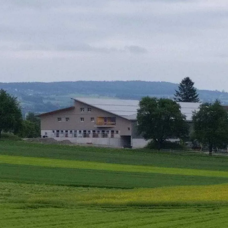 Unternehmen Sporthalle Hallwyl GmbH