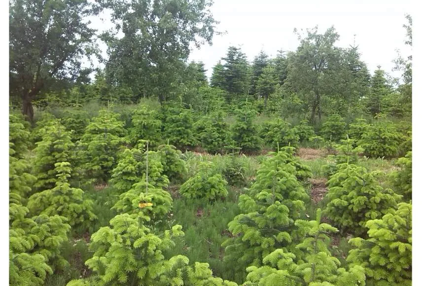 Galeriebild img-20140530-161129-1-orig.jpg