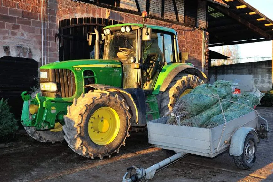 Galeriebild www-weihnachtsbaum-stich-de-impressionen-1195-orig.jpg