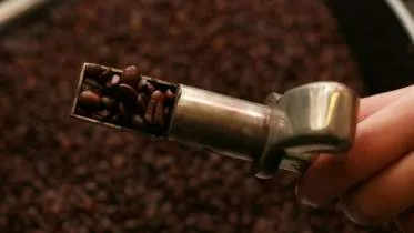 Unternehmen Cocuma Services GmbH