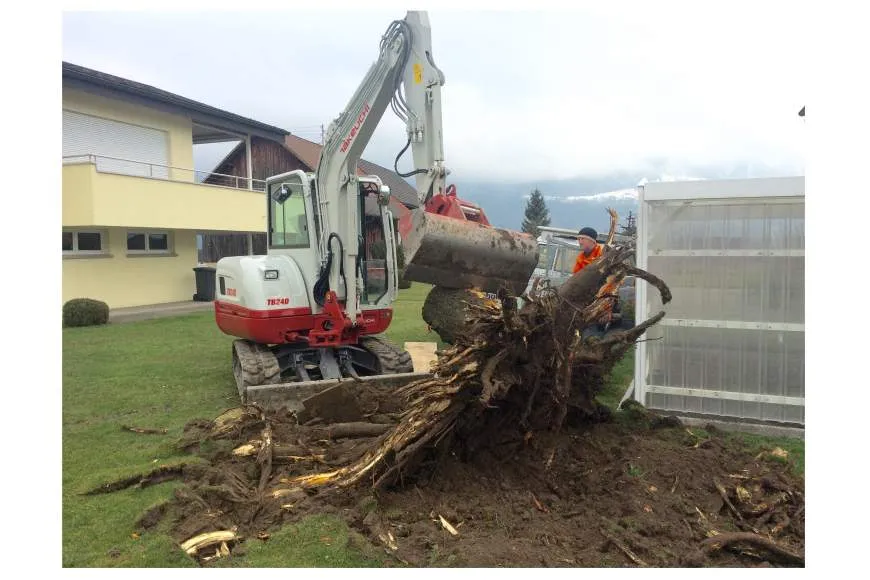 Galeriebild forst-tech-anstalt-baumfaellung.jpg