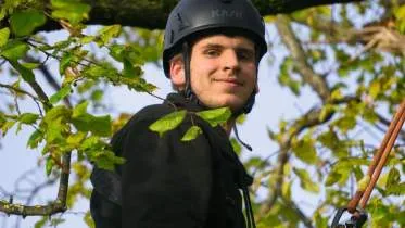 Unternehmen Baumpflege Riedel