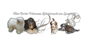 Unternehmen Salon de Toilettage Chez Isabelle