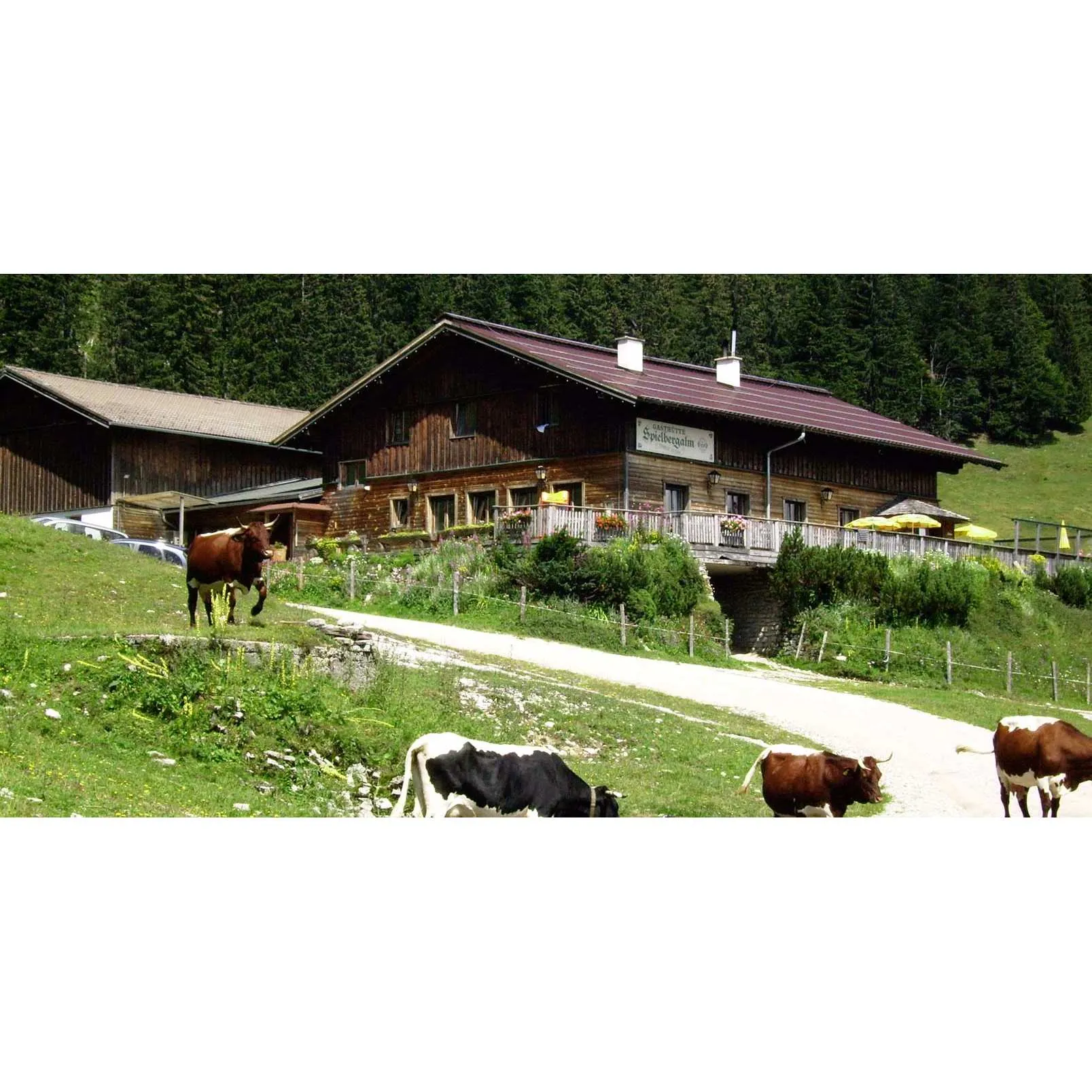 Unternehmen Gasthütte Spielbergalm