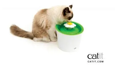 Unternehmen KG HAGEN Deutschland GmbH & CO.