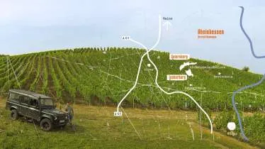 Unternehmen Weinbau Daniel Mattern
