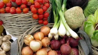 Unternehmen Gemüsetraktor Alber GbR