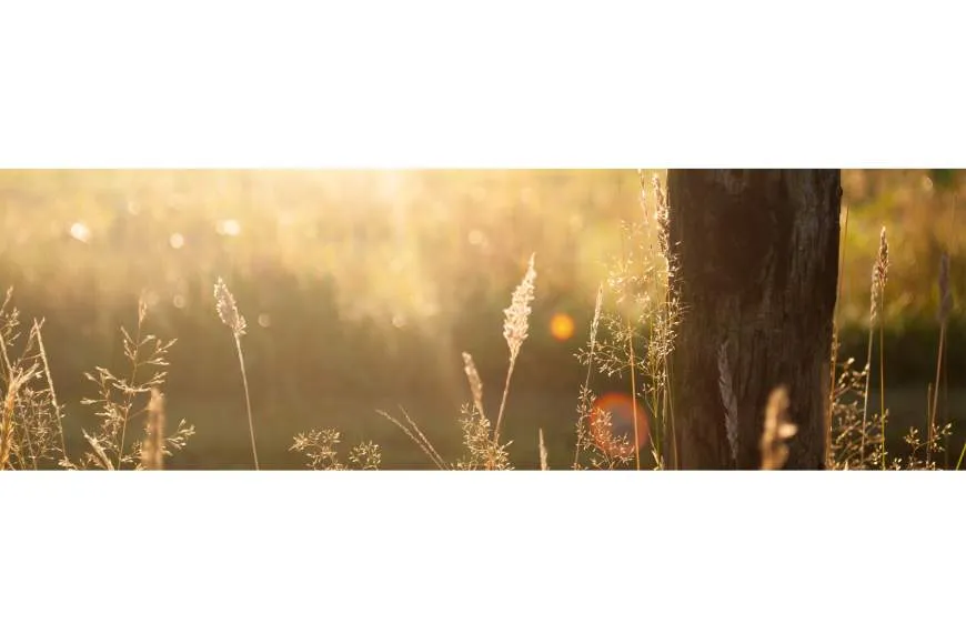 Galeriebild ploeckl-kleingeraeteservice-e.K..jpg