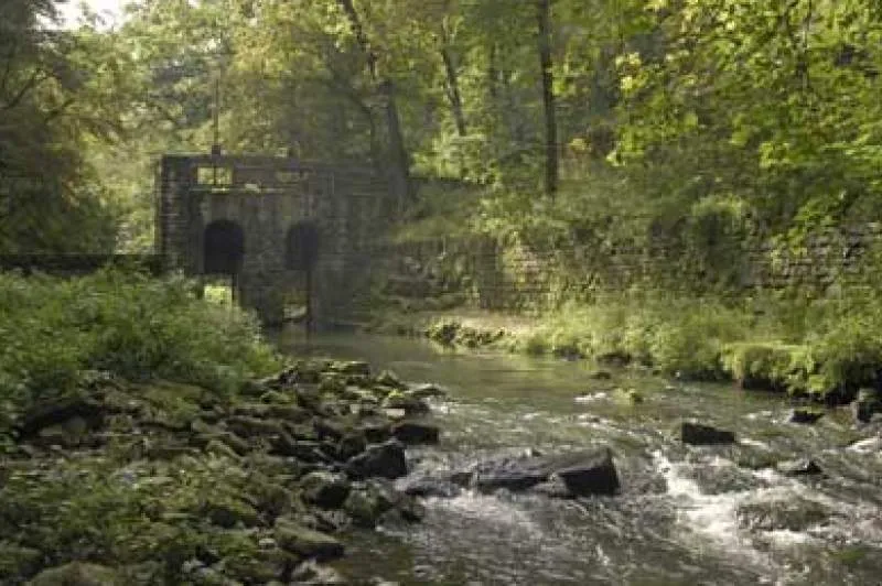 Galeriebild ferienwohnungen-steckenmillen-1-1520585096.jpg