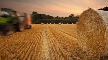 Unternehmen Küblers Gmbh & Co.KG - Forstwirtschaft