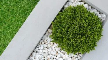 Unternehmen Alphagrün GmbH