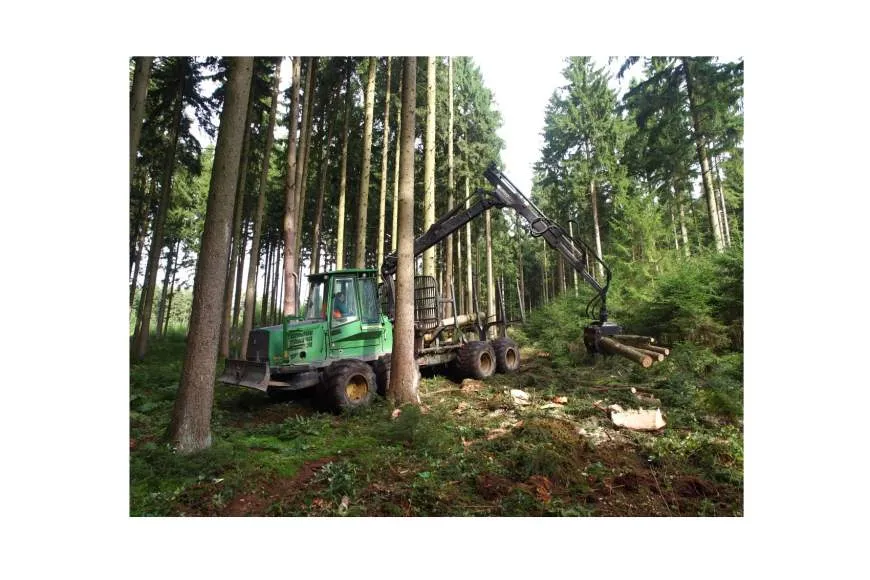 Galeriebild griesser-forstbetriebs-gmbh-4.jpg