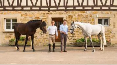 Unternehmen N.H.Sporthorses (Reitanlage am Ried)