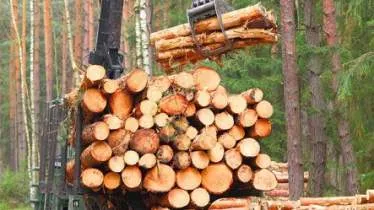 Unternehmen Birk-Holz GmbH & Co. KG